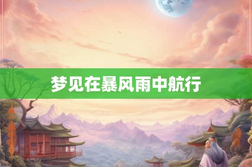 梦见在暴风雨中航行