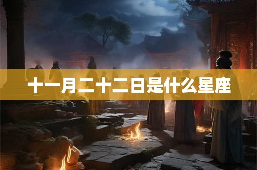 十一月二十二日是什么星座