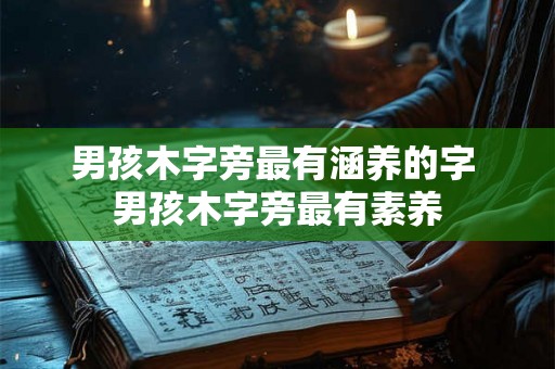 男孩木字旁最有涵养的字 男孩木字旁最有素养