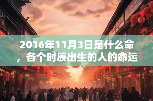 2016年11月3日是什么命，各个时辰出生的人的命运