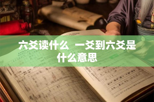 六爻读什么  一爻到六爻是什么意思