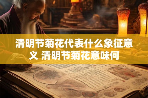 清明节菊花代表什么象征意义 清明节菊花意味何