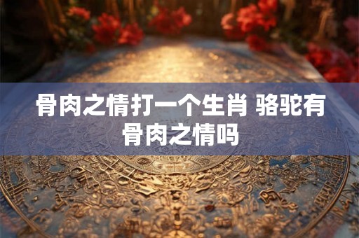 骨肉之情打一个生肖 骆驼有骨肉之情吗