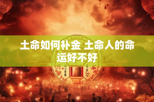 土命如何补金 土命人的命运好不好
