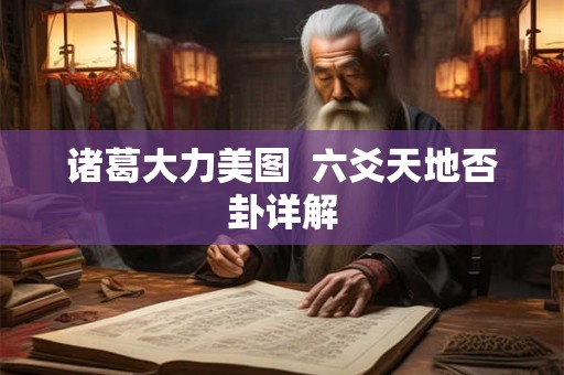 诸葛大力美图  六爻天地否卦详解