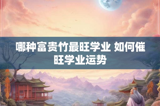 哪种富贵竹最旺学业 如何催旺学业运势