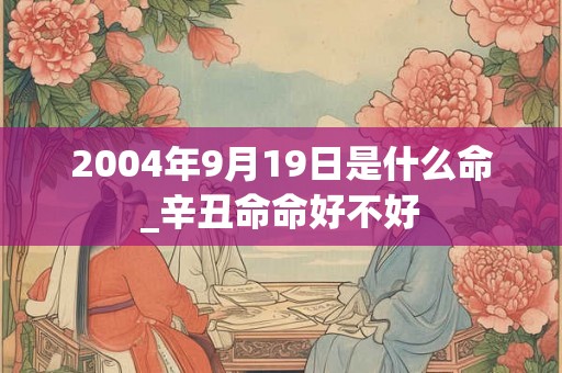 2004年9月19日是什么命_辛丑命命好不好