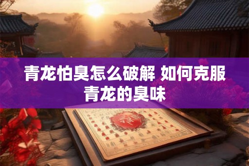 青龙怕臭怎么破解 如何克服青龙的臭味