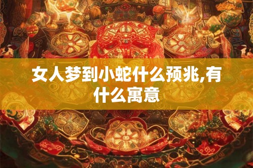 女人梦到小蛇什么预兆,有什么寓意