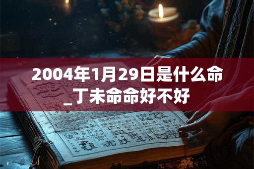 2004年1月29日是什么命_丁未命命好不好 2004年1月29日是什么命_丁未命命好不好