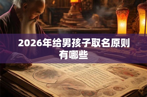 2026年给男孩子取名原则有哪些
