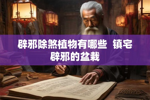 辟邪除煞植物有哪些  镇宅辟邪的盆栽