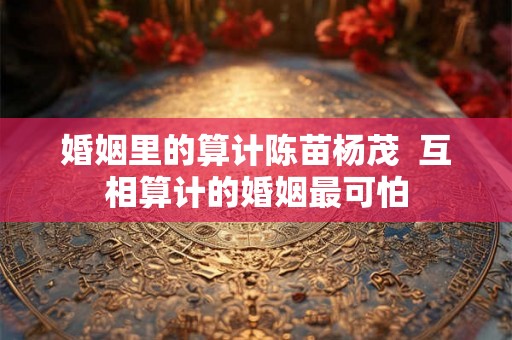 婚姻里的算计陈苗杨茂  互相算计的婚姻最可怕