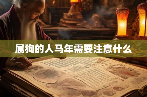 属狗的人马年需要注意什么