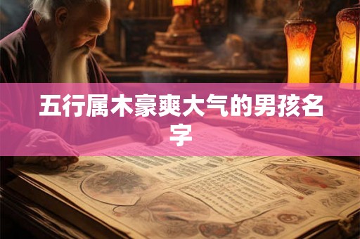 五行属木豪爽大气的男孩名字