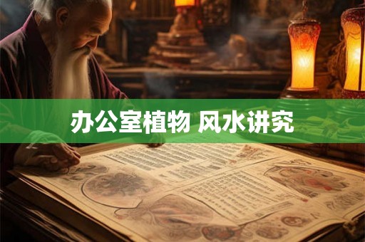 办公室植物 风水讲究