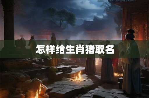 怎样给生肖猪取名