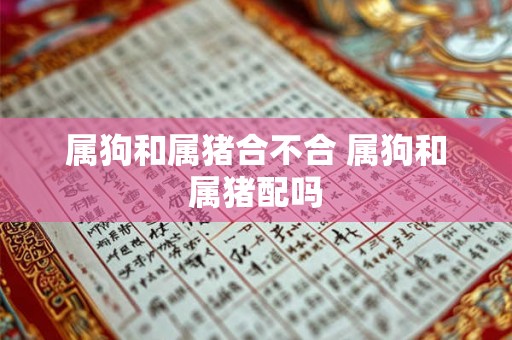 属狗和属猪合不合 属狗和属猪配吗