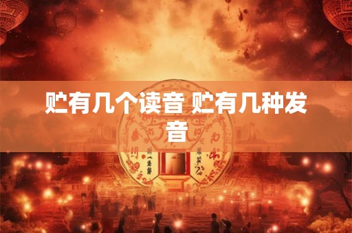 贮有几个读音 贮有几种发音