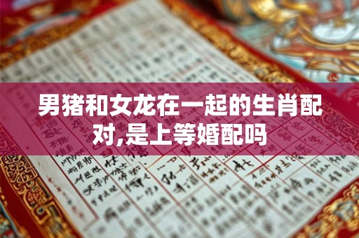 男猪和女龙在一起的生肖配对,是上等婚配吗 男猪和女龙在一起的生肖配对,是上等婚配吗