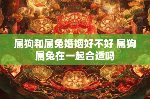 属狗和属兔婚姻好不好 属狗属兔在一起合适吗 属狗和属兔婚姻好不好 属狗属兔在一起合适吗