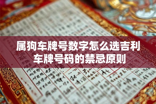 属狗车牌号数字怎么选吉利 车牌号码的禁忌原则