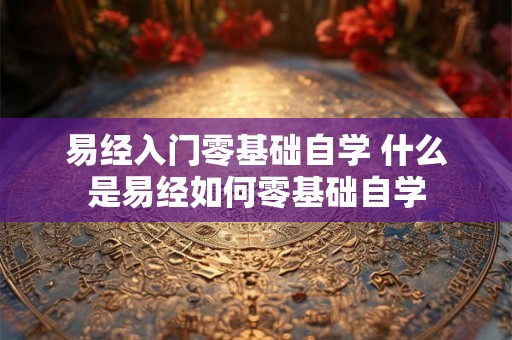 易经入门零基础自学 什么是易经如何零基础自学 易经入门零基础自学 什么是易经如何零基础自学