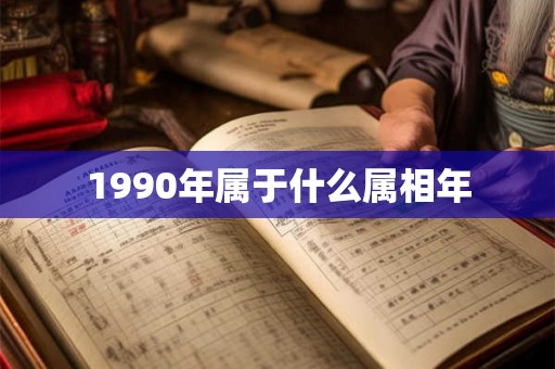 1990年属于什么属相年