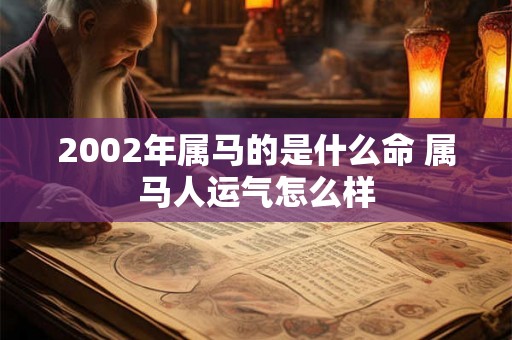 2002年属马的是什么命 属马人运气怎么样