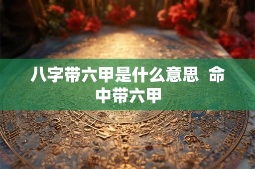 八字带六甲是什么意思  命中带六甲