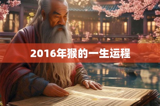 2016年猴的一生运程