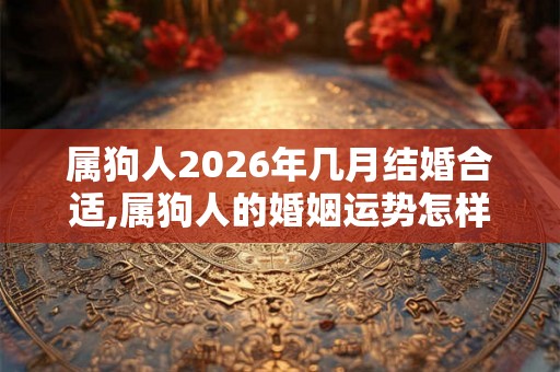 属狗人2026年几月结婚合适,属狗人的婚姻运势怎样