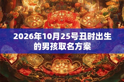 2026年10月25号丑时出生的男孩取名方案