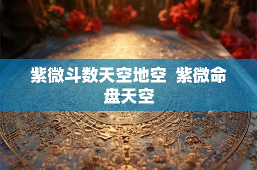 紫微斗数天空地空  紫微命盘天空