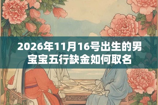 2026年11月16号出生的男宝宝五行缺金如何取名