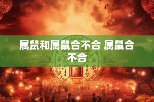 属鼠和属鼠合不合 属鼠合不合