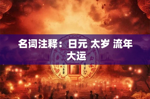 名词注释:日元 太岁 流年 大运 名词注释:日元 太岁 流年 大运