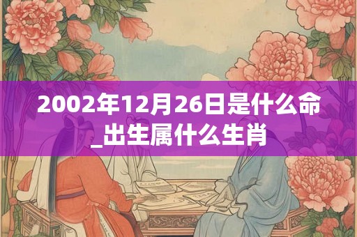2002年12月26日是什么命_出生属什么生肖