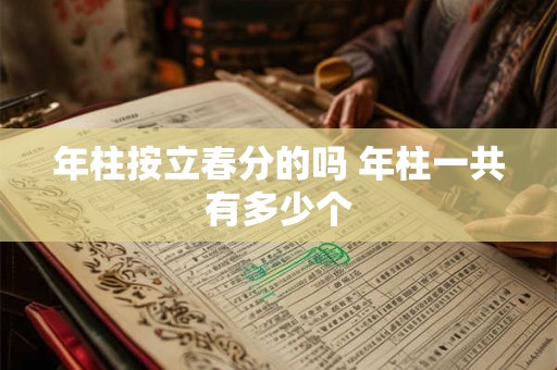 年柱按立春分的吗 年柱一共有多少个