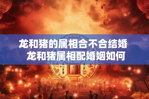龙和猪的属相合不合结婚  龙和猪属相配婚姻如何