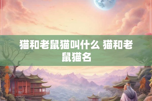 猫和老鼠猫叫什么 猫和老鼠猫名