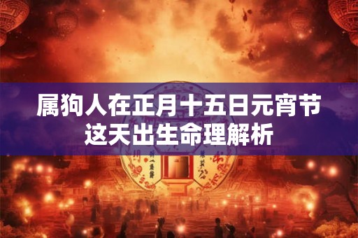 属狗人在正月十五日元宵节这天出生命理解析 属狗人在正月十五日元宵节这天出生命理解析