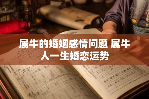 属牛的婚姻感情问题 属牛人一生婚恋运势