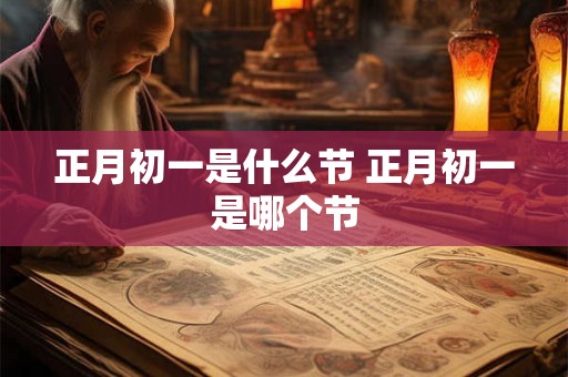 正月初一是什么节 正月初一是哪个节