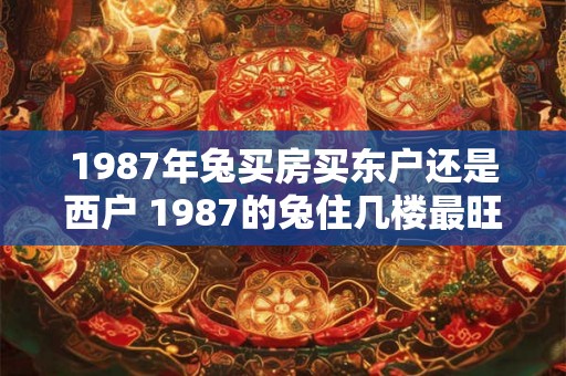 1987年兔买房买东户还是西户 1987的兔住几楼最旺