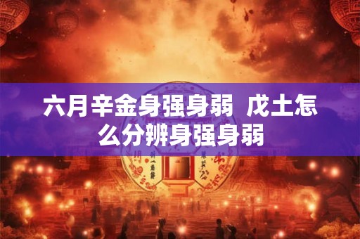 六月辛金身强身弱  戊土怎么分辨身强身弱