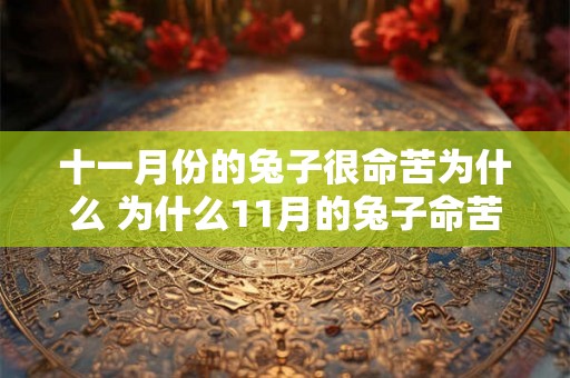 十一月份的兔子很命苦为什么 为什么11月的兔子命苦
