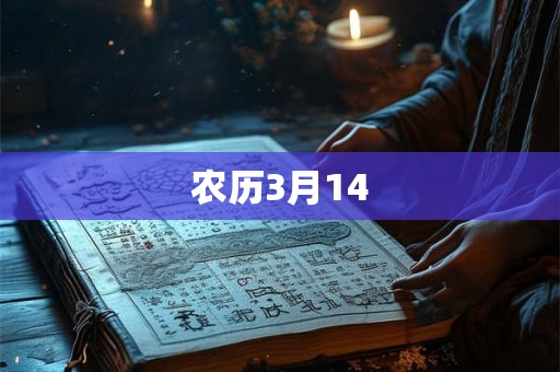 农历3月14