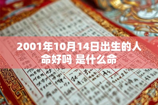 2001年10月14日出生的人命好吗 是什么命