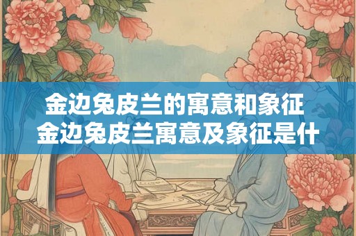 金边兔皮兰的寓意和象征 金边兔皮兰寓意及象征是什么